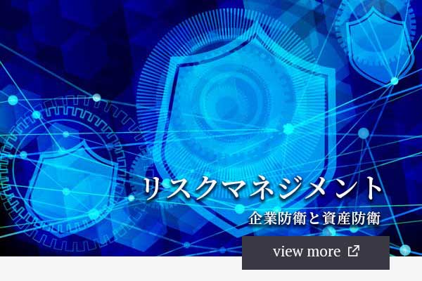 riskmanagement_slide